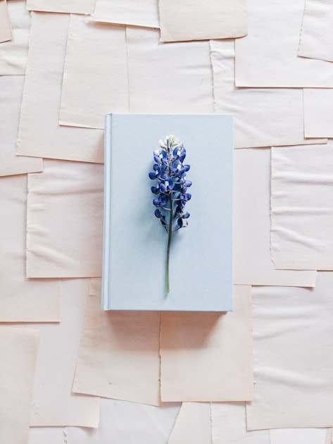 Essential Pages for Your Publishing Site